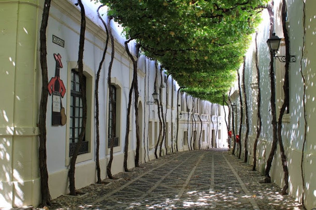 Fashion Calle Ciegos, Jerez de la Frontera, Cádiz, Espanha 🇪🇸 