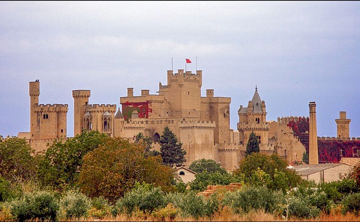 Lugar Palacio Real de Olite