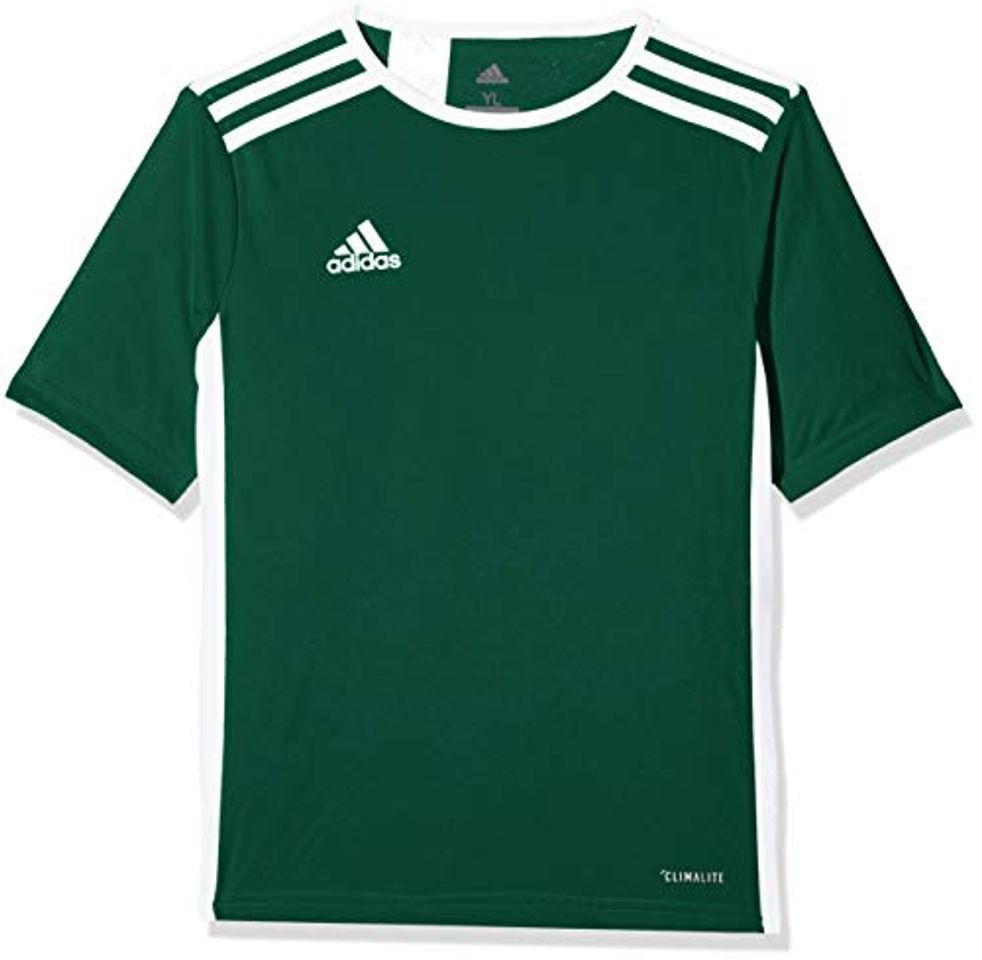 Fitness adidas Entrada 18 JSY Jersey, Hombre, Verde