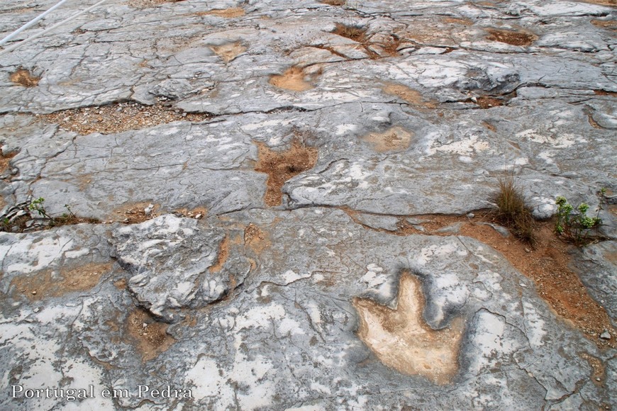 Place Pegadas dos Dinossauros em Vale de Meios