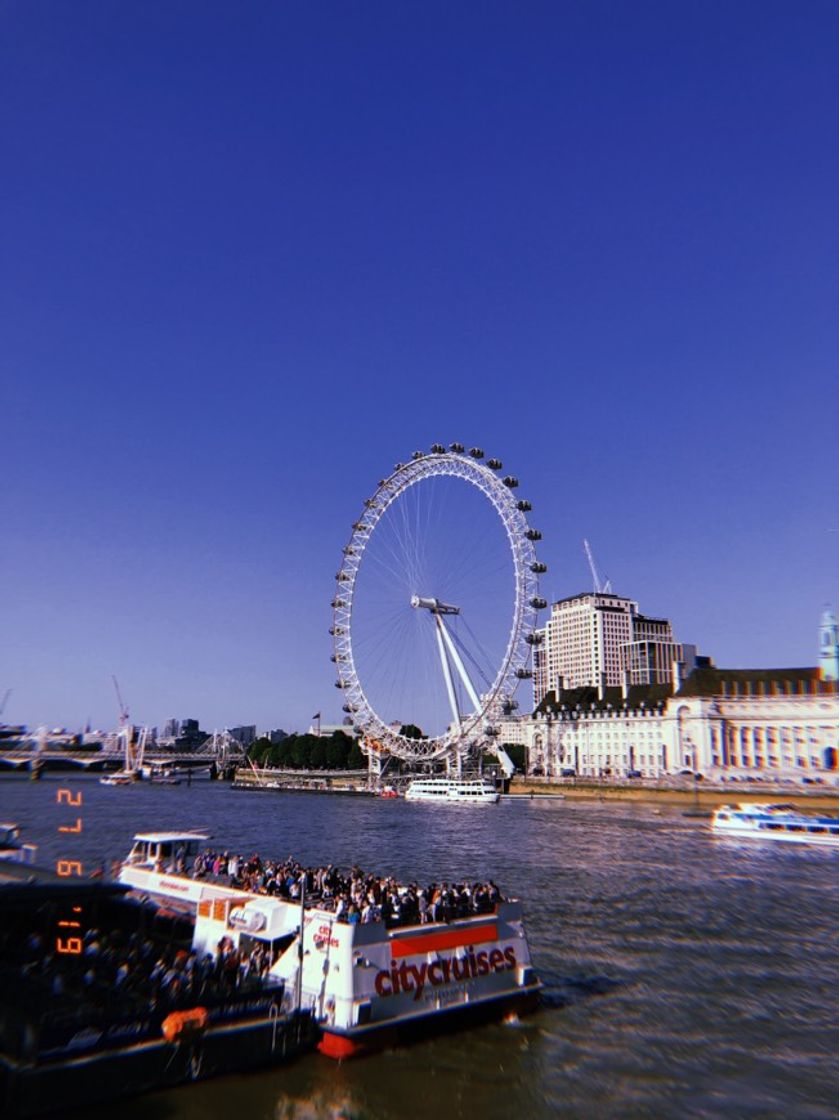 Place London Eye