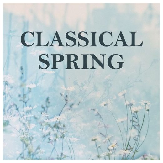 Concerto For Violin And Strings In E, Op.8, No.1, R.269 "La Primavera": 1. Allegro