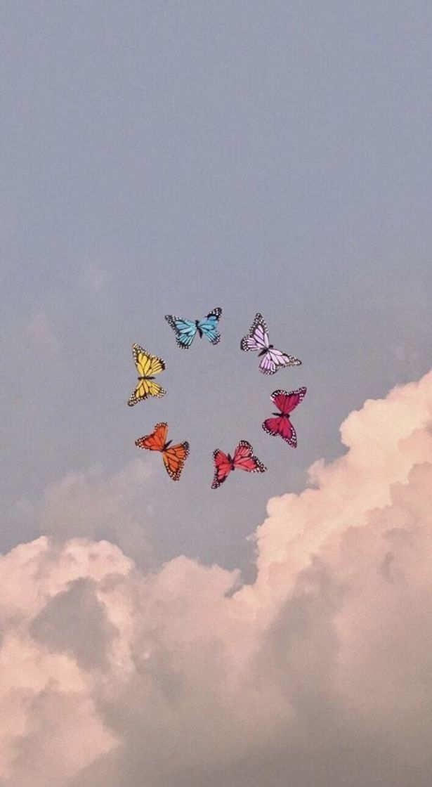 Moda aesthetic butterfly