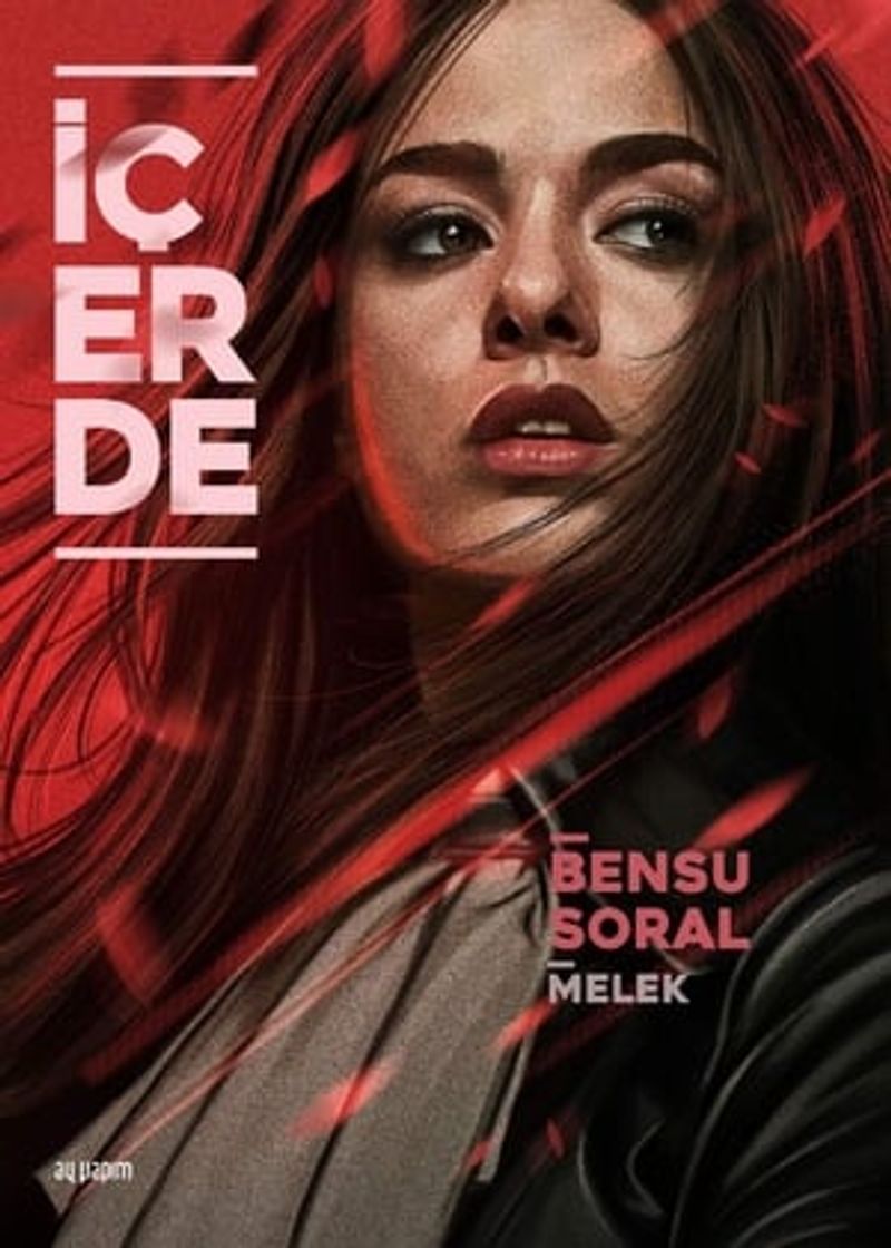 Serie Icerde