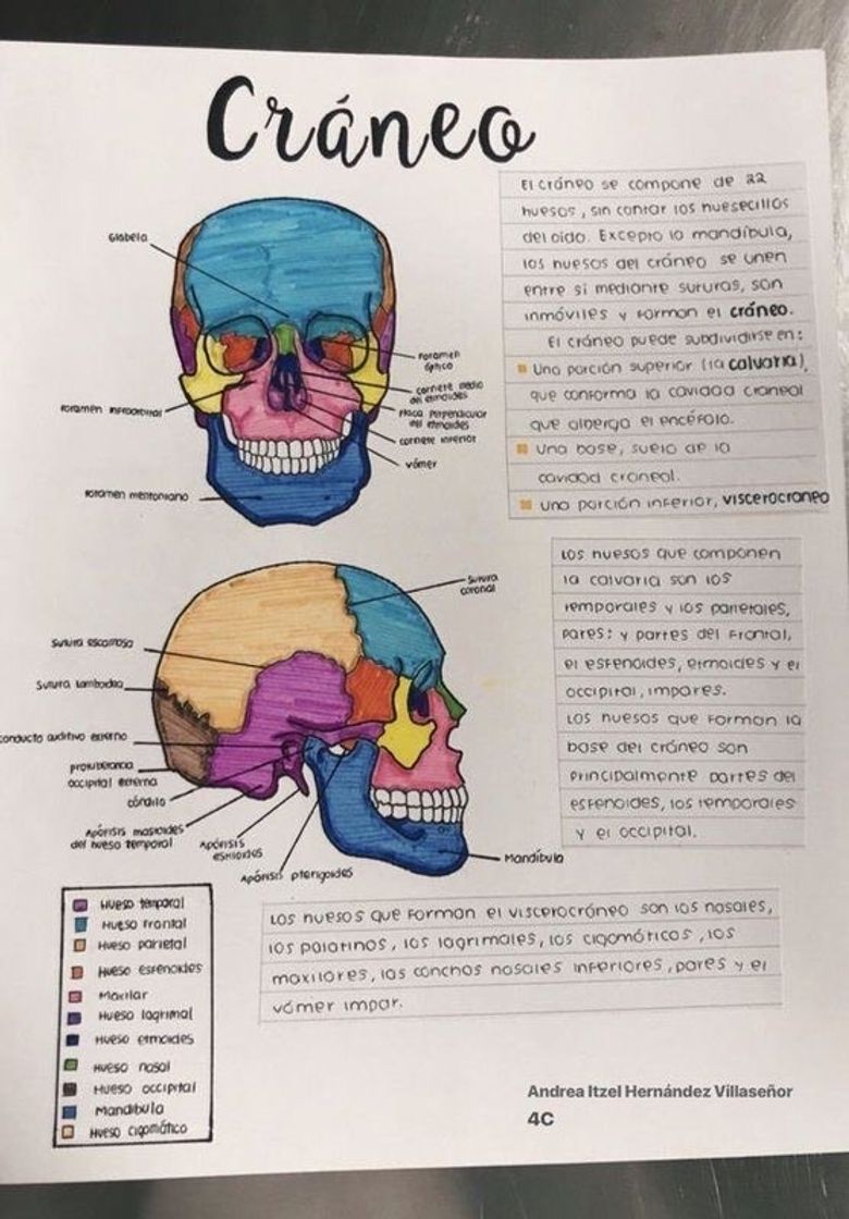 Libros  🧠