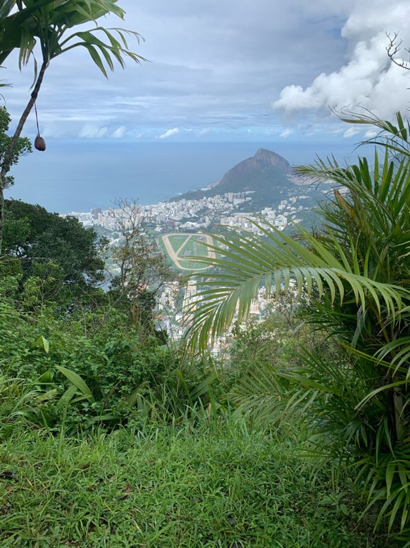 Lugar Corcovado