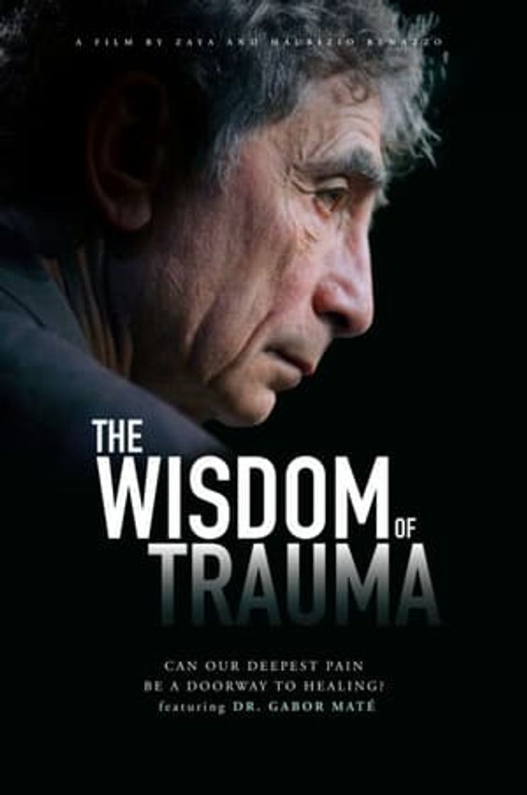 Movie The Wisdom of Trauma