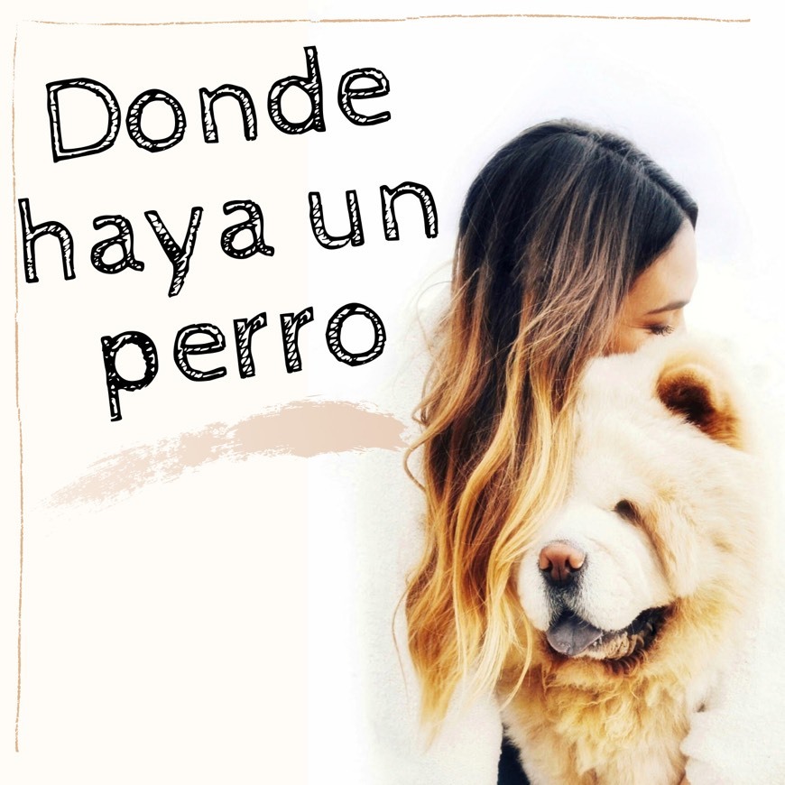 Moda Podcast: Donde haya un perro