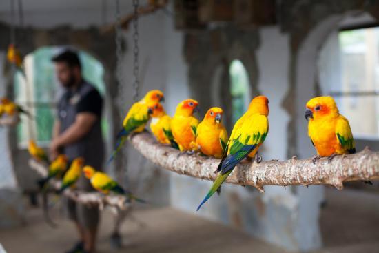 Lugar Jardín del Papagayo