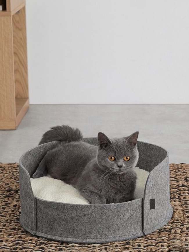 Social cama gato