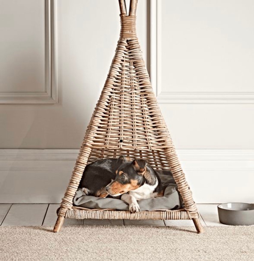 Social tipi cox & cox