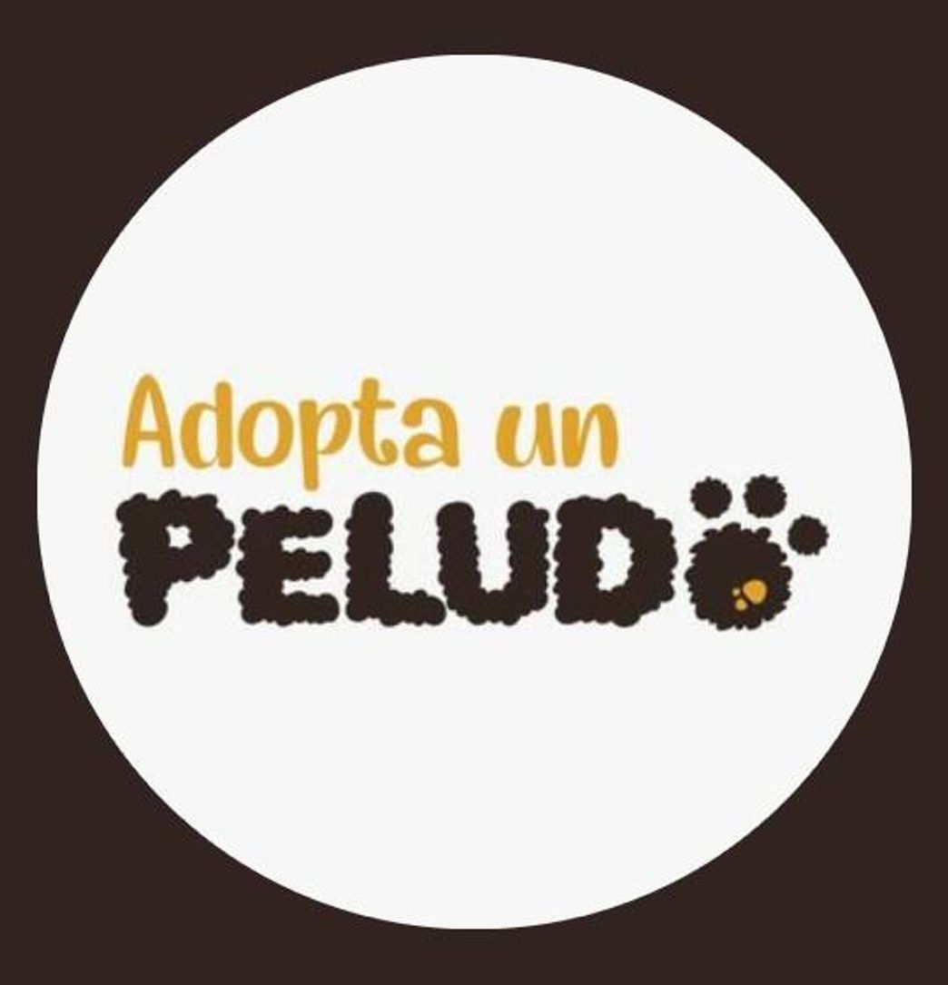 Fashion adoptaunpeludo