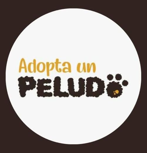 adoptaunpeludo