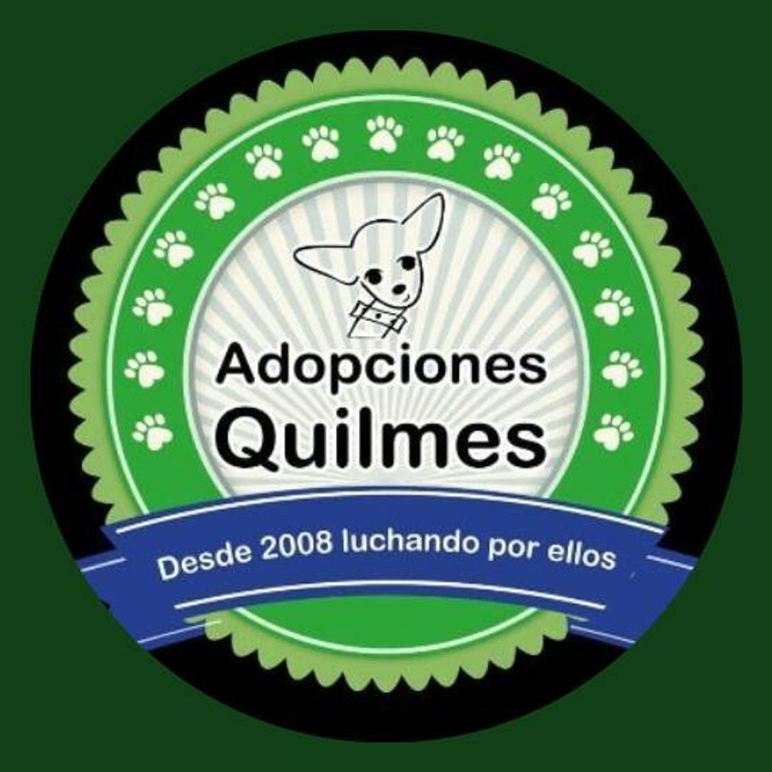 Moda adopcionesquilmes