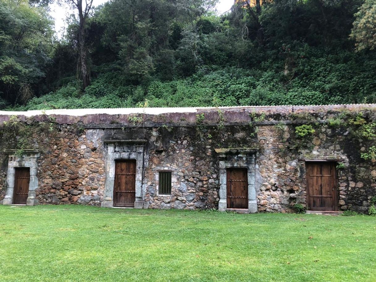 Lugar Parque Nacional El Chico