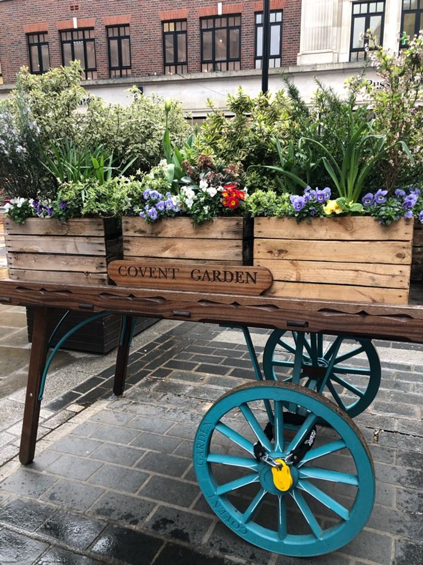 Place Covent Garden