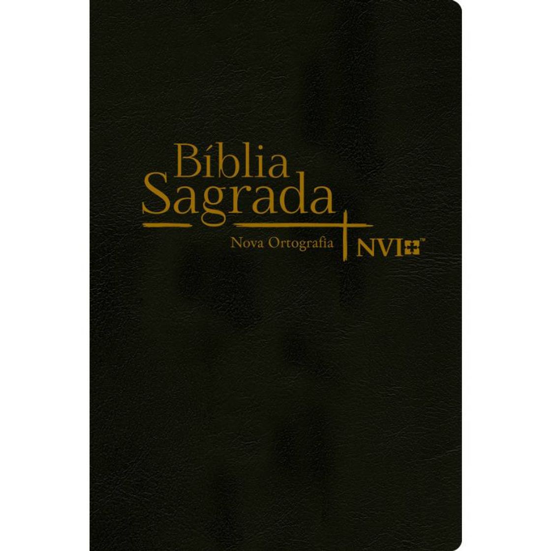 Libro Biblia Sagrada NVI