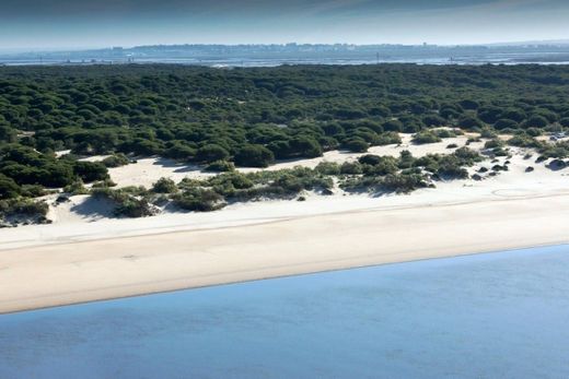 Playa de la Bota