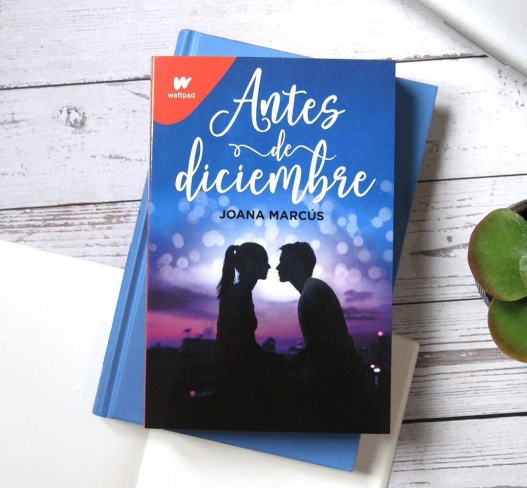 Book Antes de diciembre 