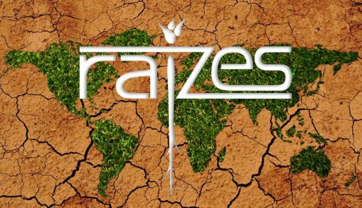 Restaurants Restaurante Raizes