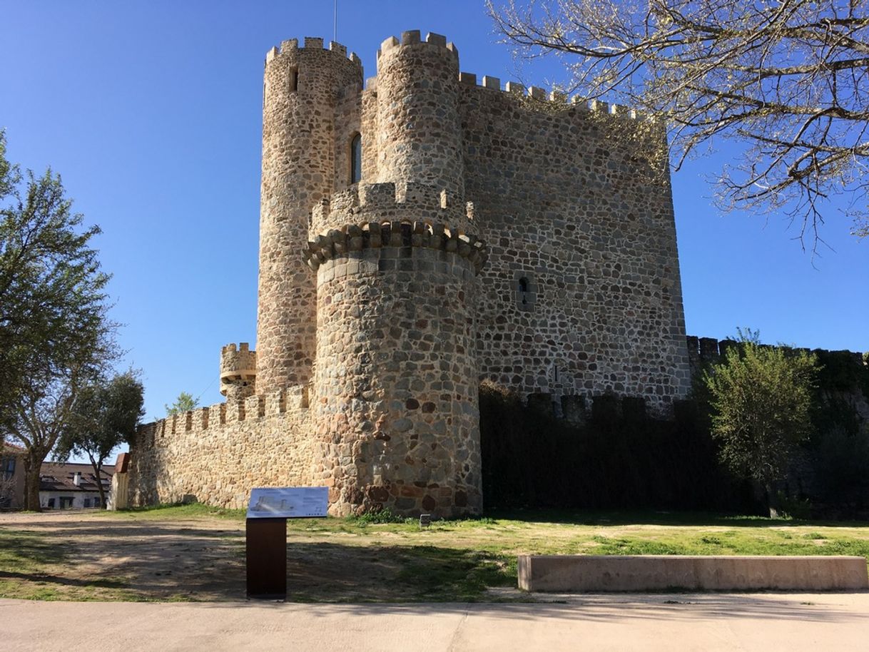 Place San Martín de Valdeiglesias