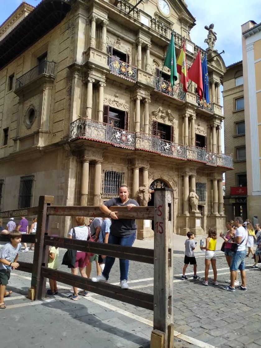 Place Ayuntamiento de Pamplona - Iruñeko Udala
