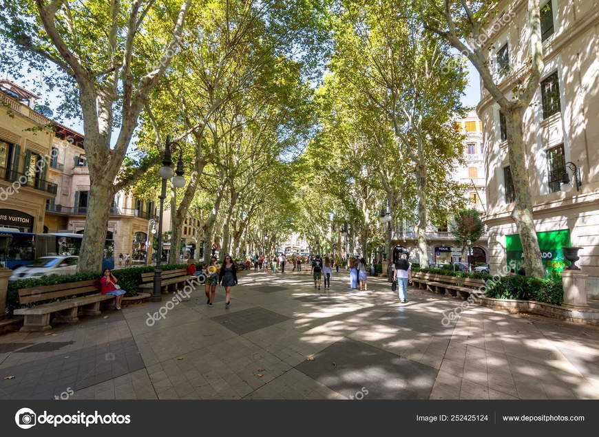 Lugar Passeig del Born