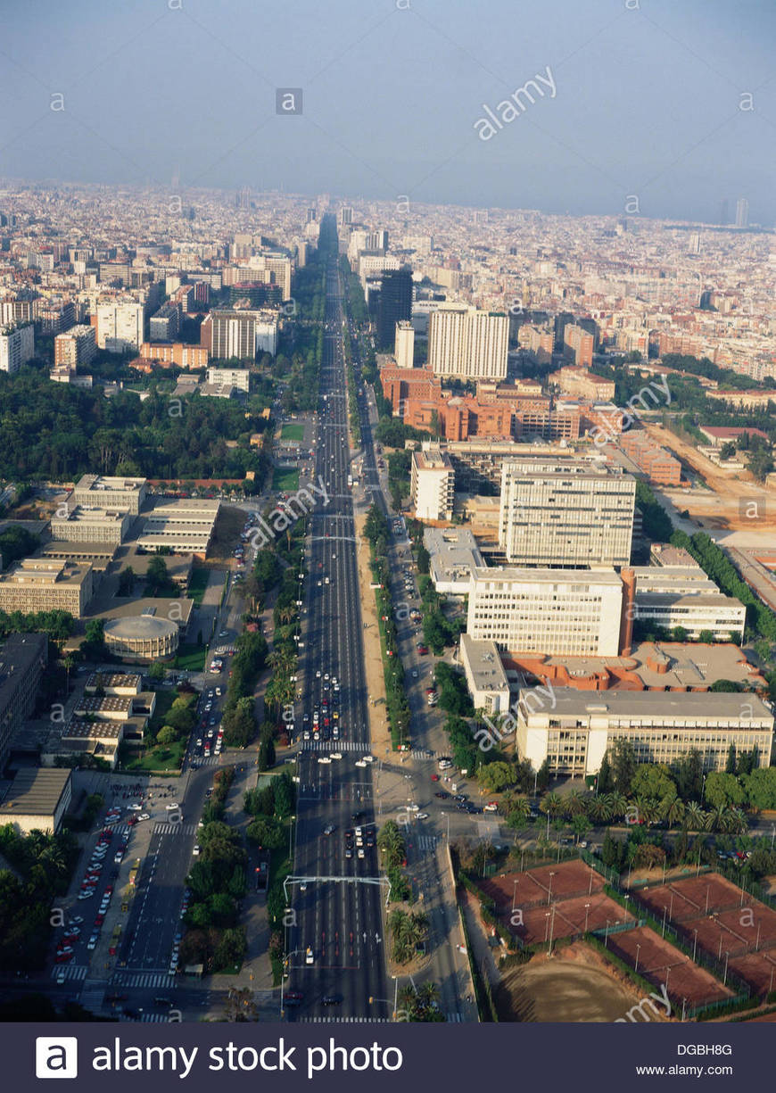 Lugar Avenida Diagonal