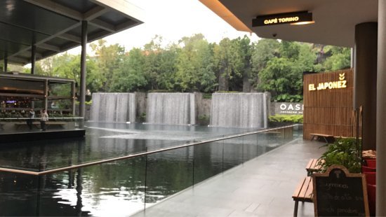 Lugar Oasis Coyoacan