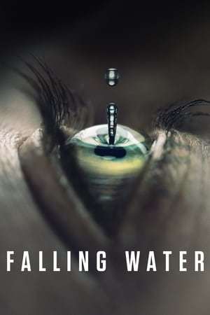 Serie Falling Water