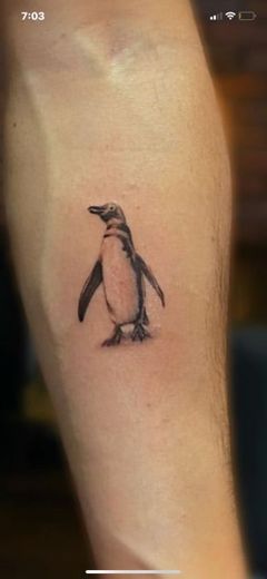 Pingüino 🐧 