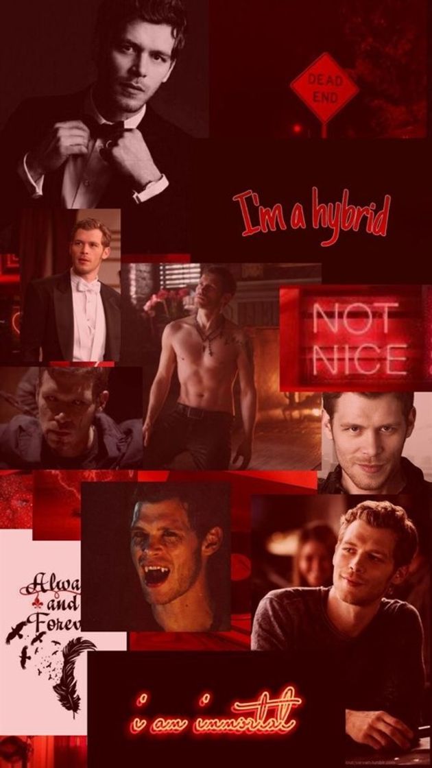 Fashion Klaus