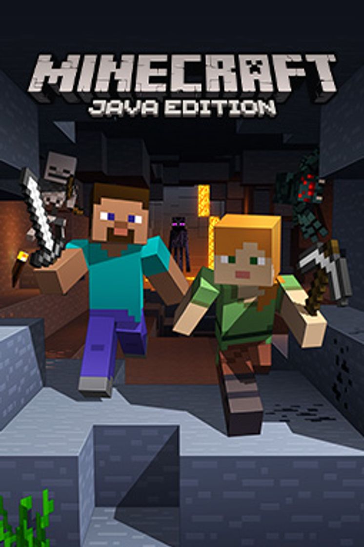Videogames Minecraft: Java Edition