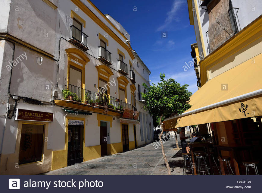 Restaurantes La Viña T.