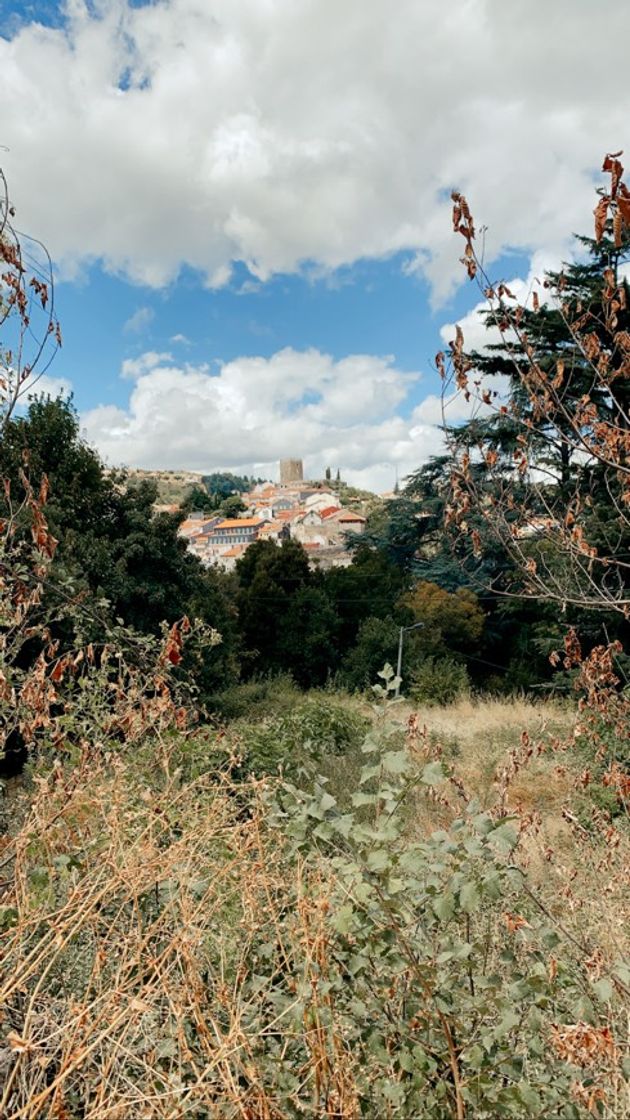 Place Lamego Castle