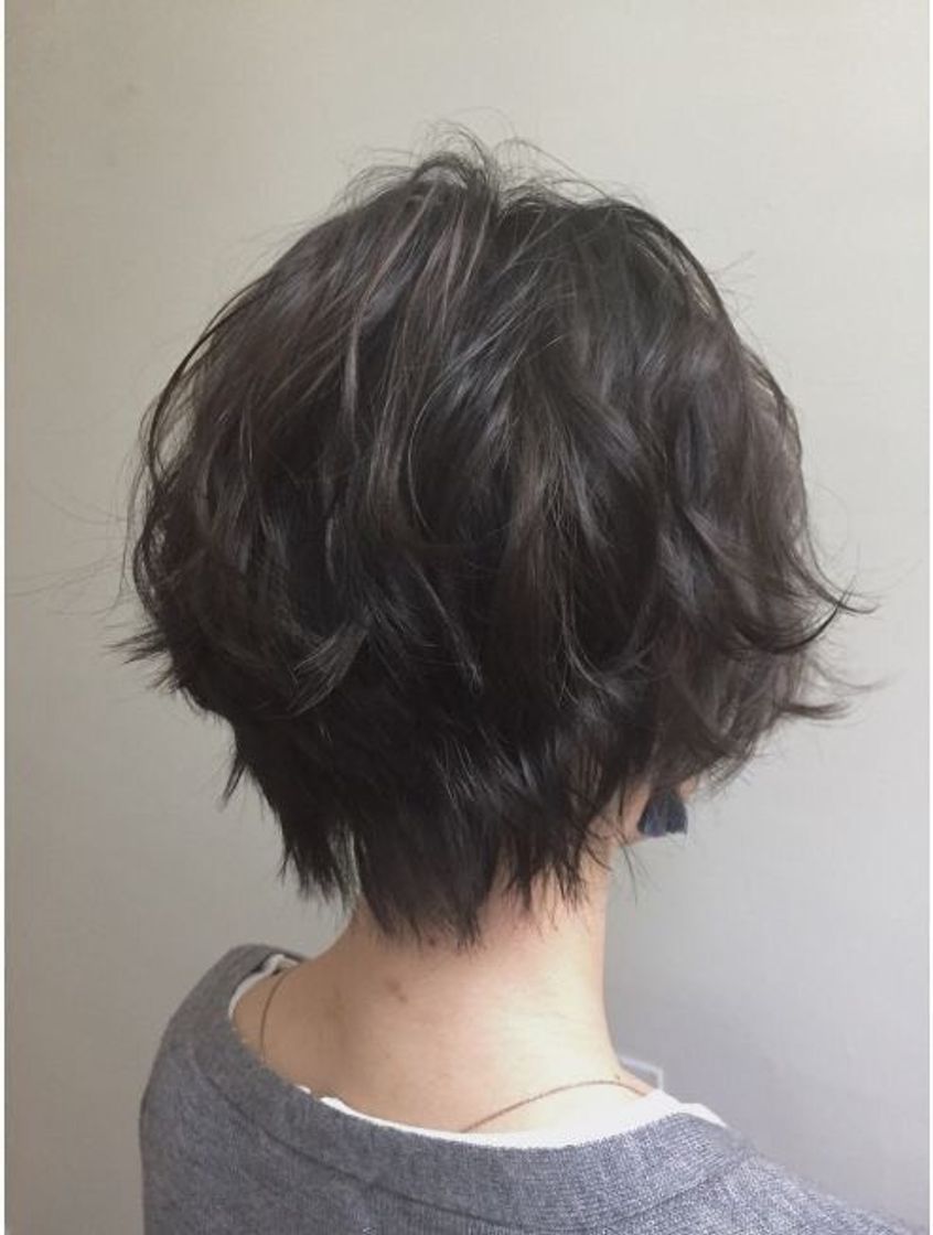 Social Short hair