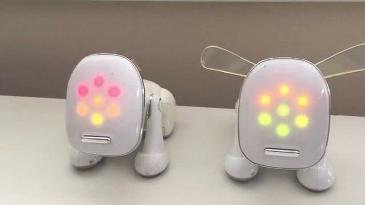 Social Toy 🧸 