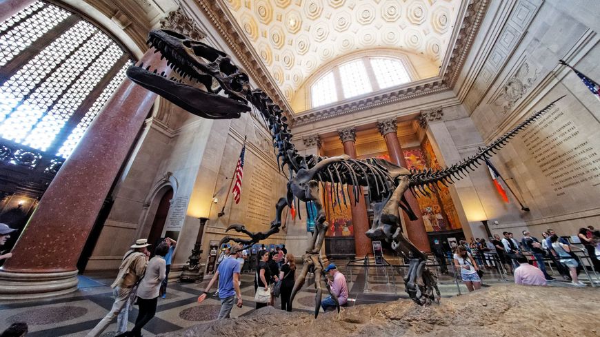 Place American Museum of Natural History