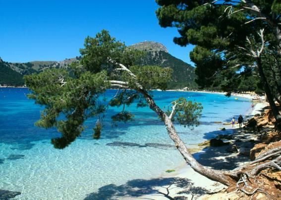 Lugar Cala d'Or Mallorca