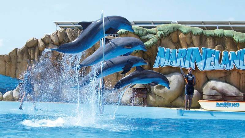 Lugar Marineland Mallorca