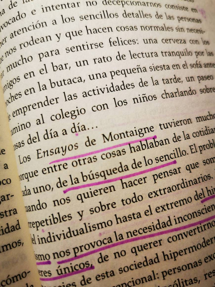 Book Ensayos Escogidos-Montaigne