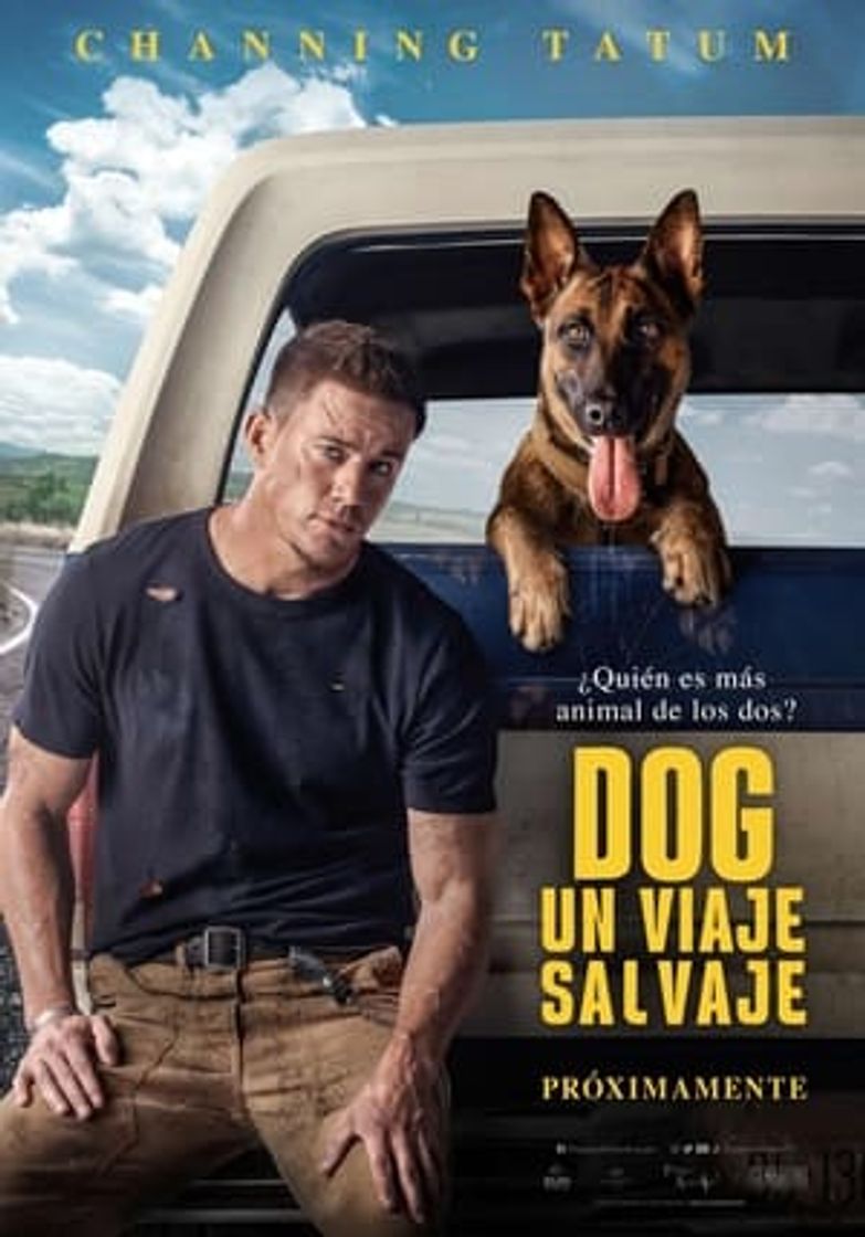 Movie Dog - Un viaje salvaje