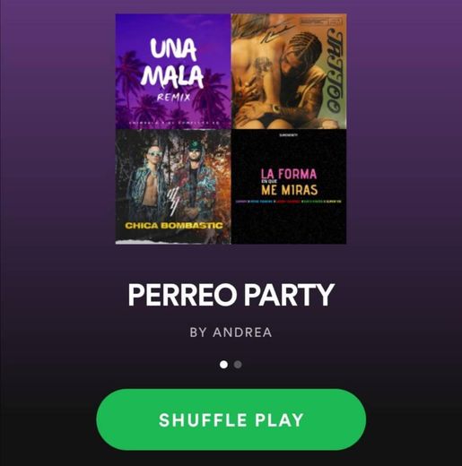PERREO PARTY