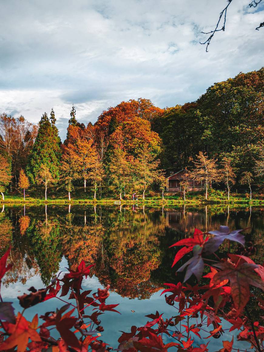 Lugar Lago Castiñeiras