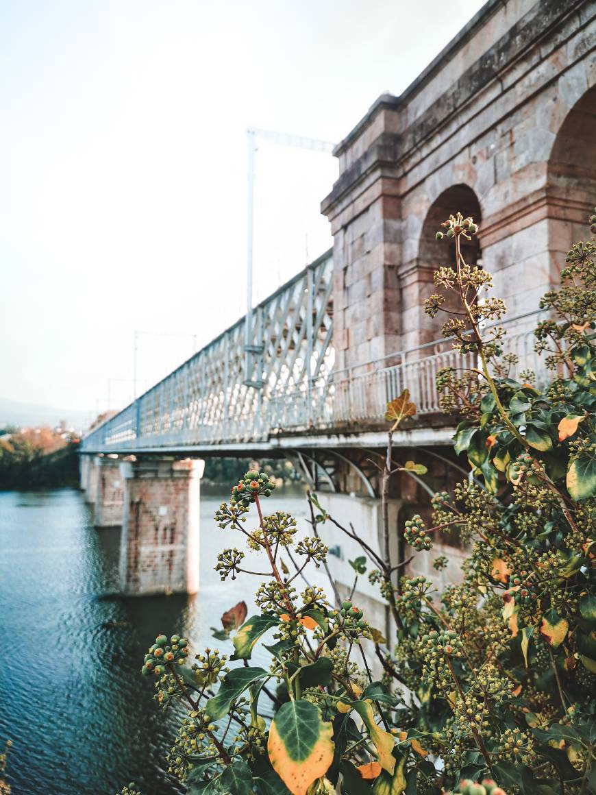 Place Ponte Internacional Tui-Valença