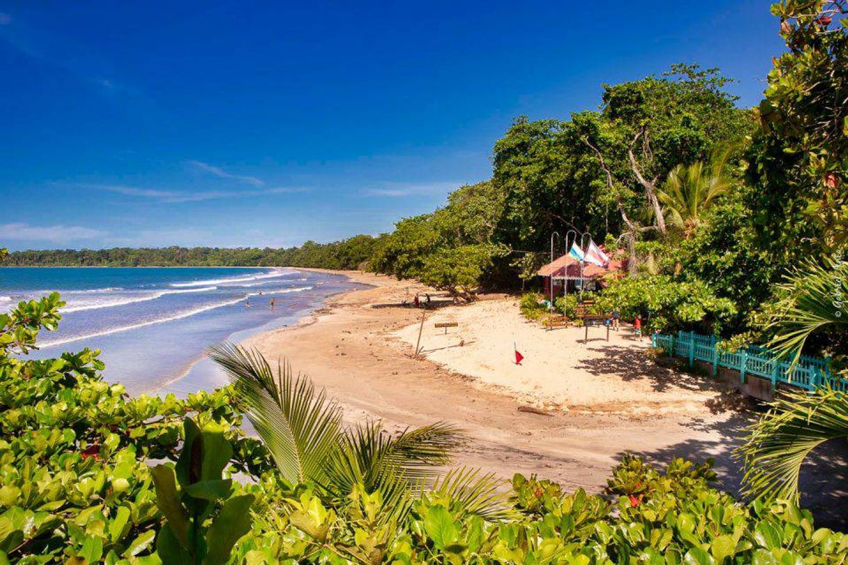 Place Parque nacional Cahuita