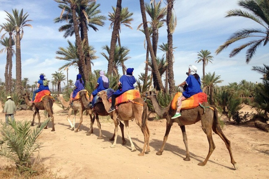 Lugar Paseo camello Marrakech