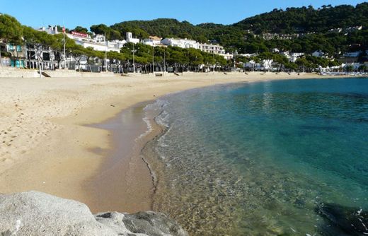 Platja de Llafranc