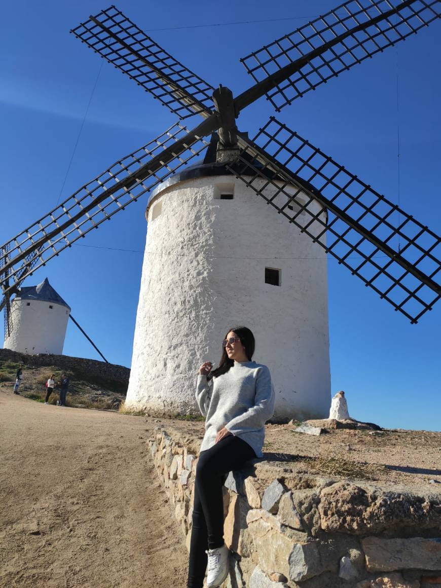 Place Molinos de Viento de Consuegra