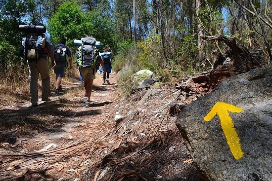 Lugar Camino de Santiago